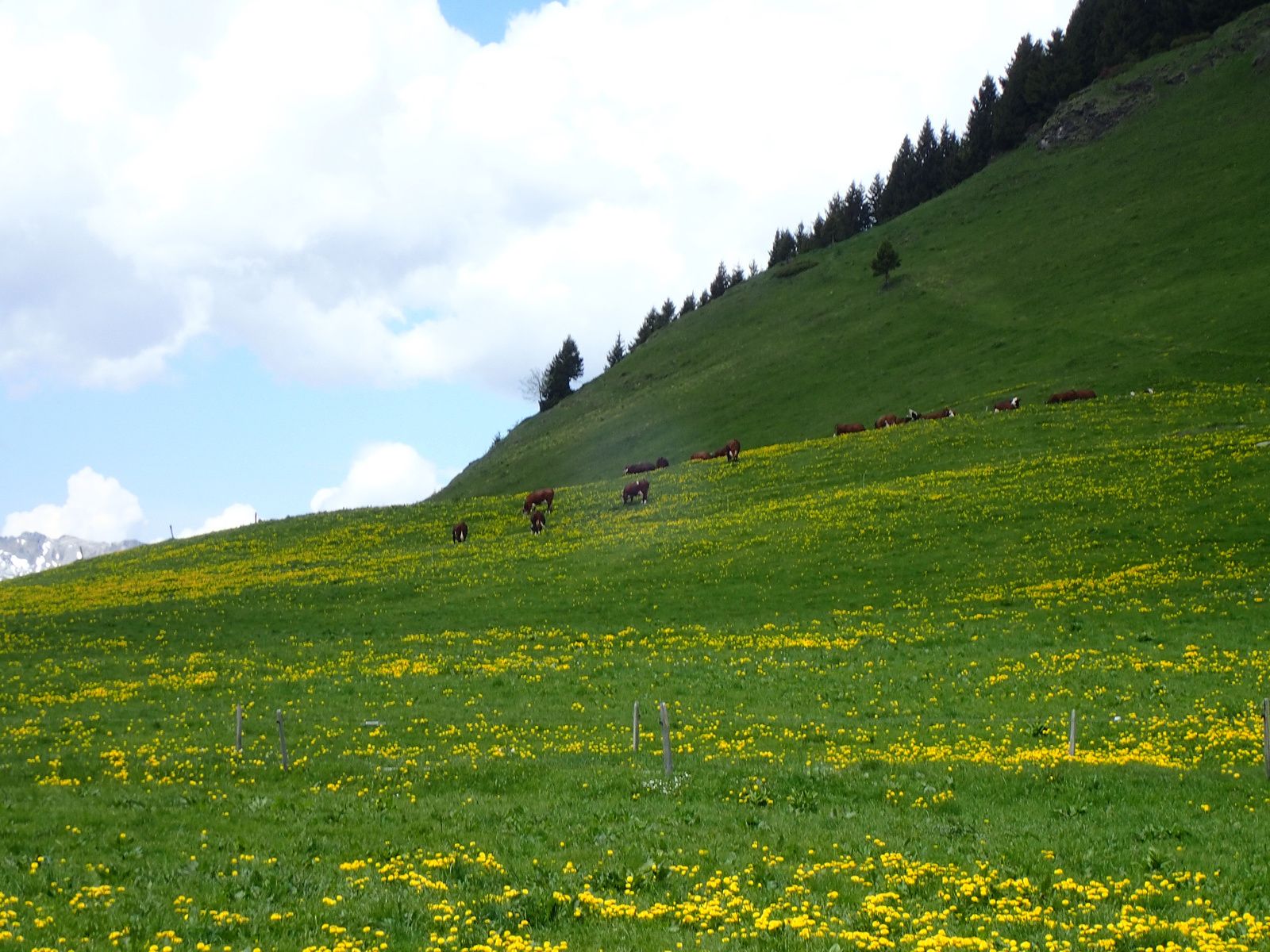 Pointe de la Blonnière: Combe à Marion (Couloir Nord des Aravis) 2/2