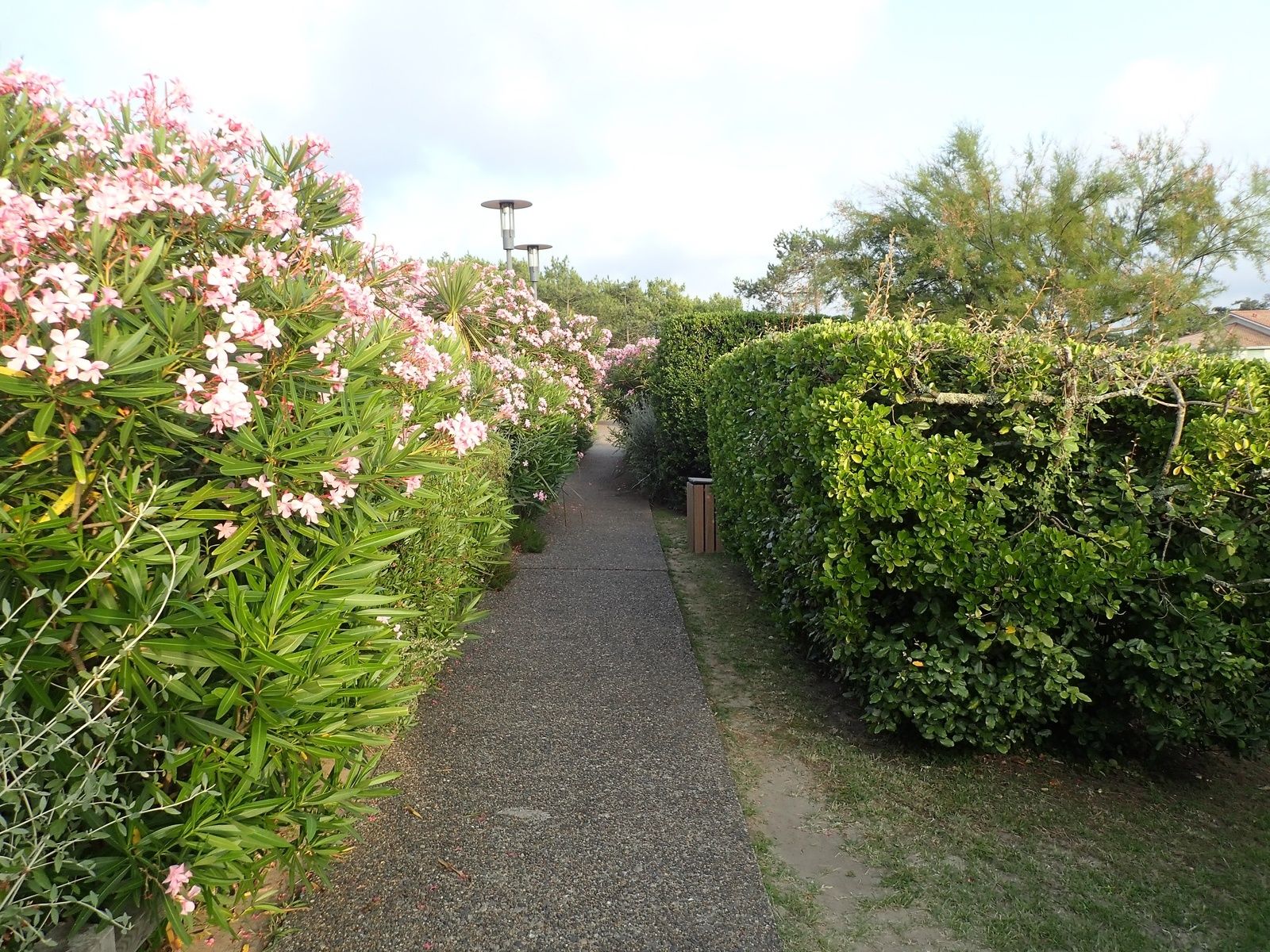 Capbreton: Le Club des Vignes et le Port.