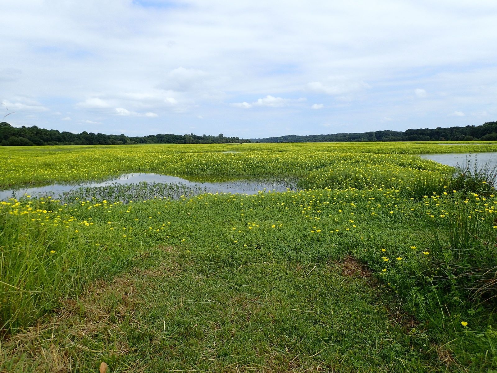 Capbreton: Marais d'Orx (proche Labenne) + Le Sentier de la Dune