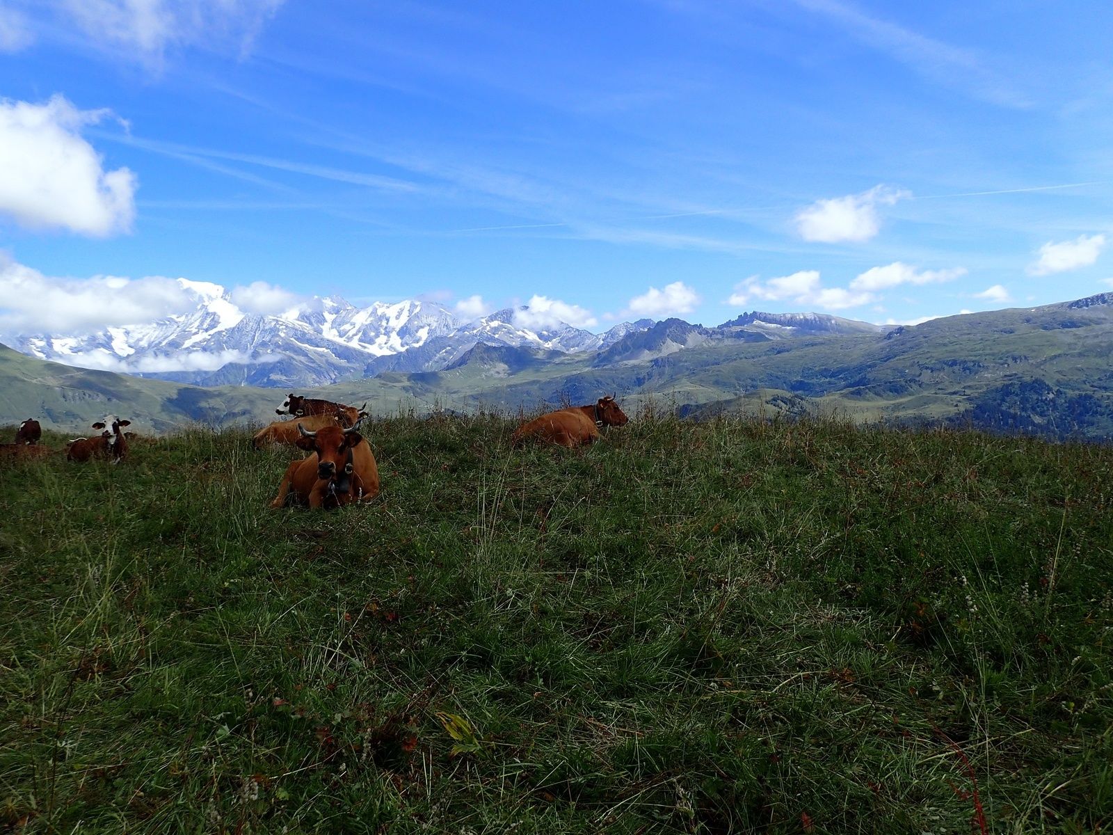 Mont Clocher: Depuis les Saisies (parking Col de la Legette)