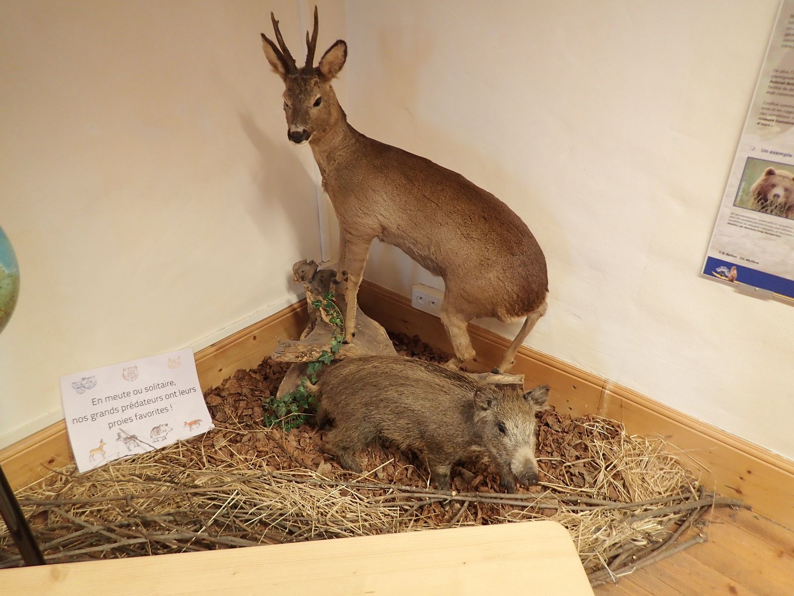 Centre de la Nature Montagnarde: Château des Rubins 2/2