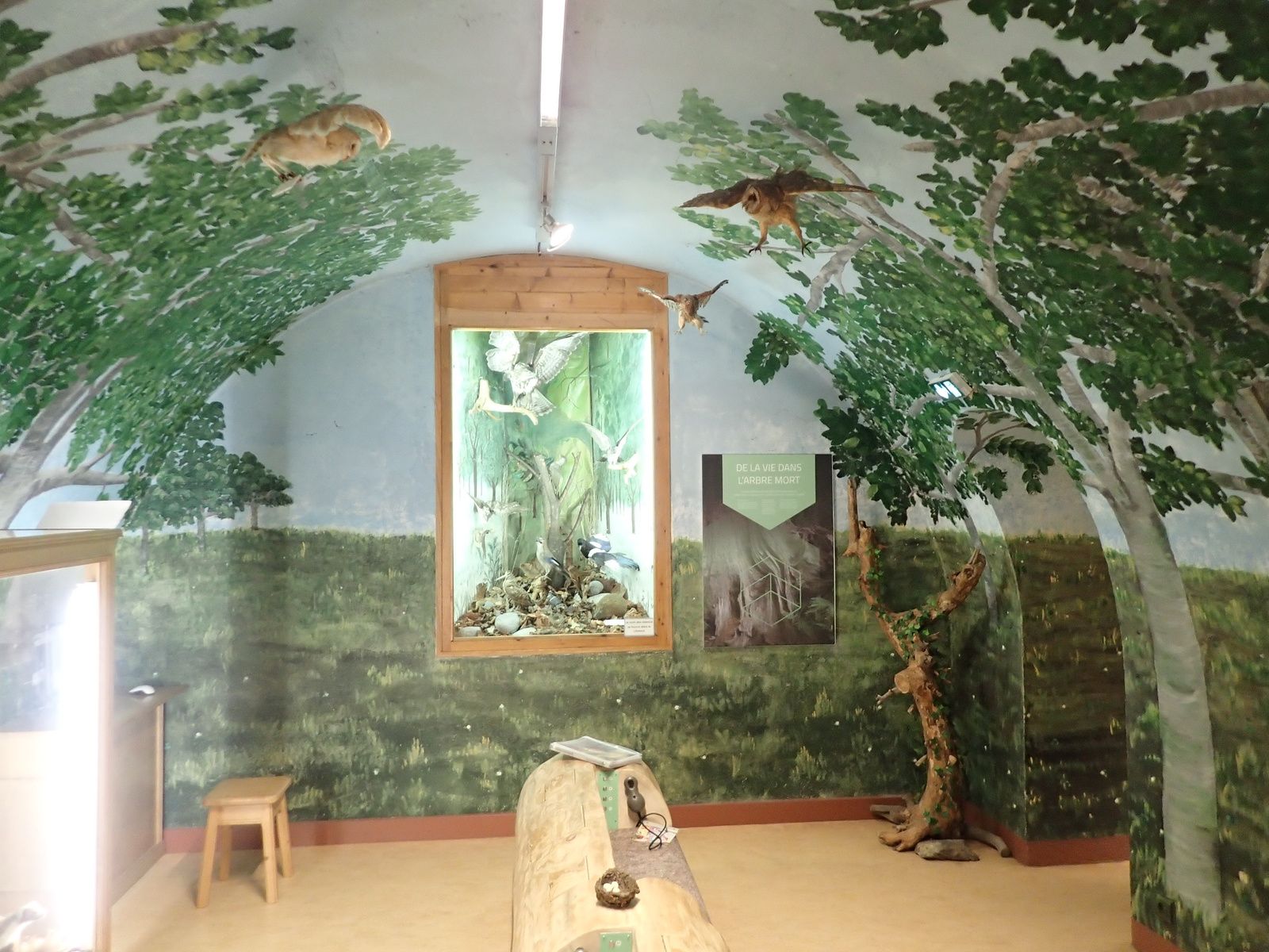 Centre de la Nature Montagnarde: Château des Rubins 2/2