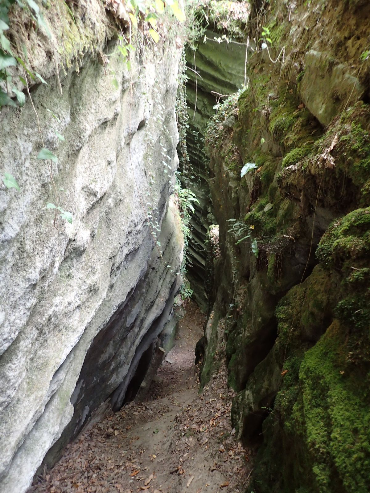 Saint-Sylvestre: Les failles de Saint-Sylvestre