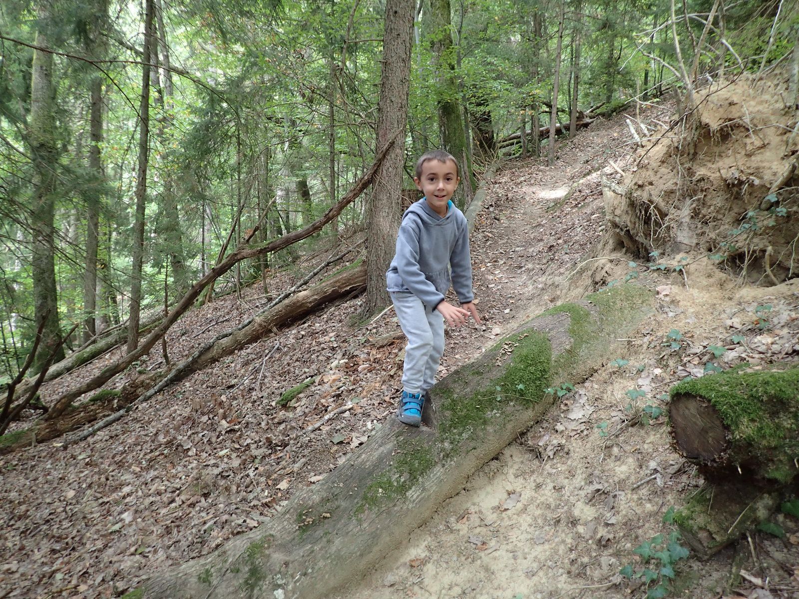Saint-Sylvestre: Les failles de Saint-Sylvestre