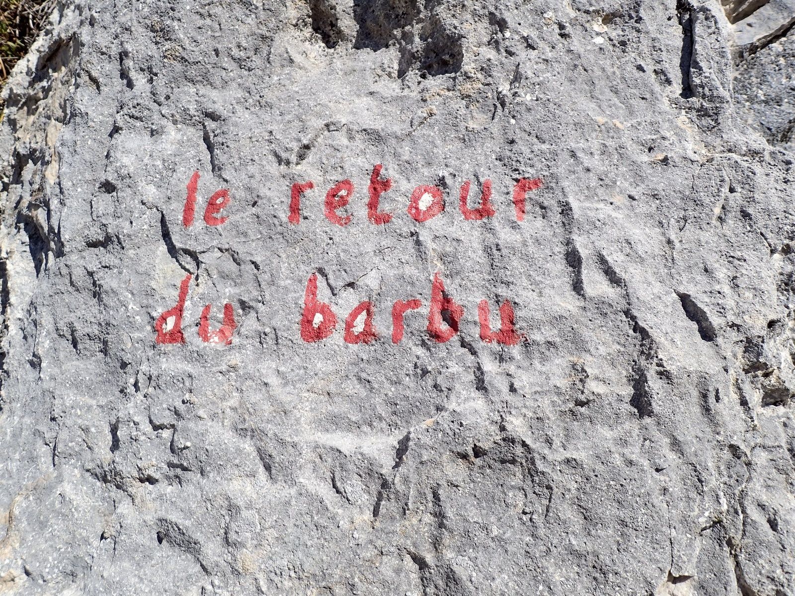 Rocher du Béard (secteur Beau comme un rêve): Dire qu'tu voulais pas venir + Le retour du barbu 2/2
