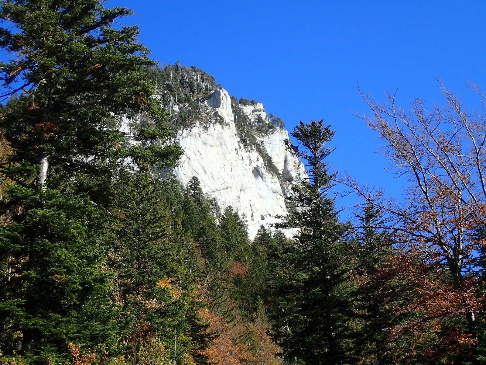 Rocher du Béard (secteur Beau comme un rêve): Dire qu'tu voulais pas venir + Le retour du barbu 2/2