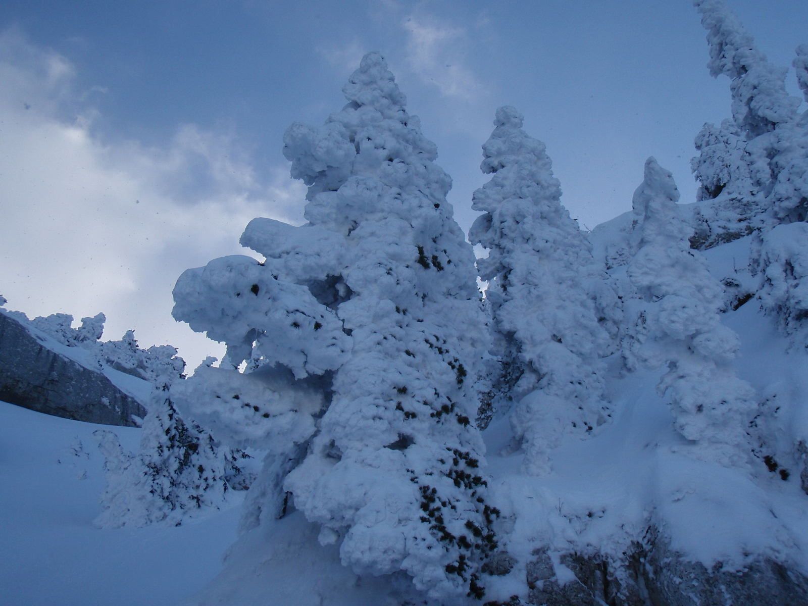 Mont Granier: Barres de Tencovaz 1/2