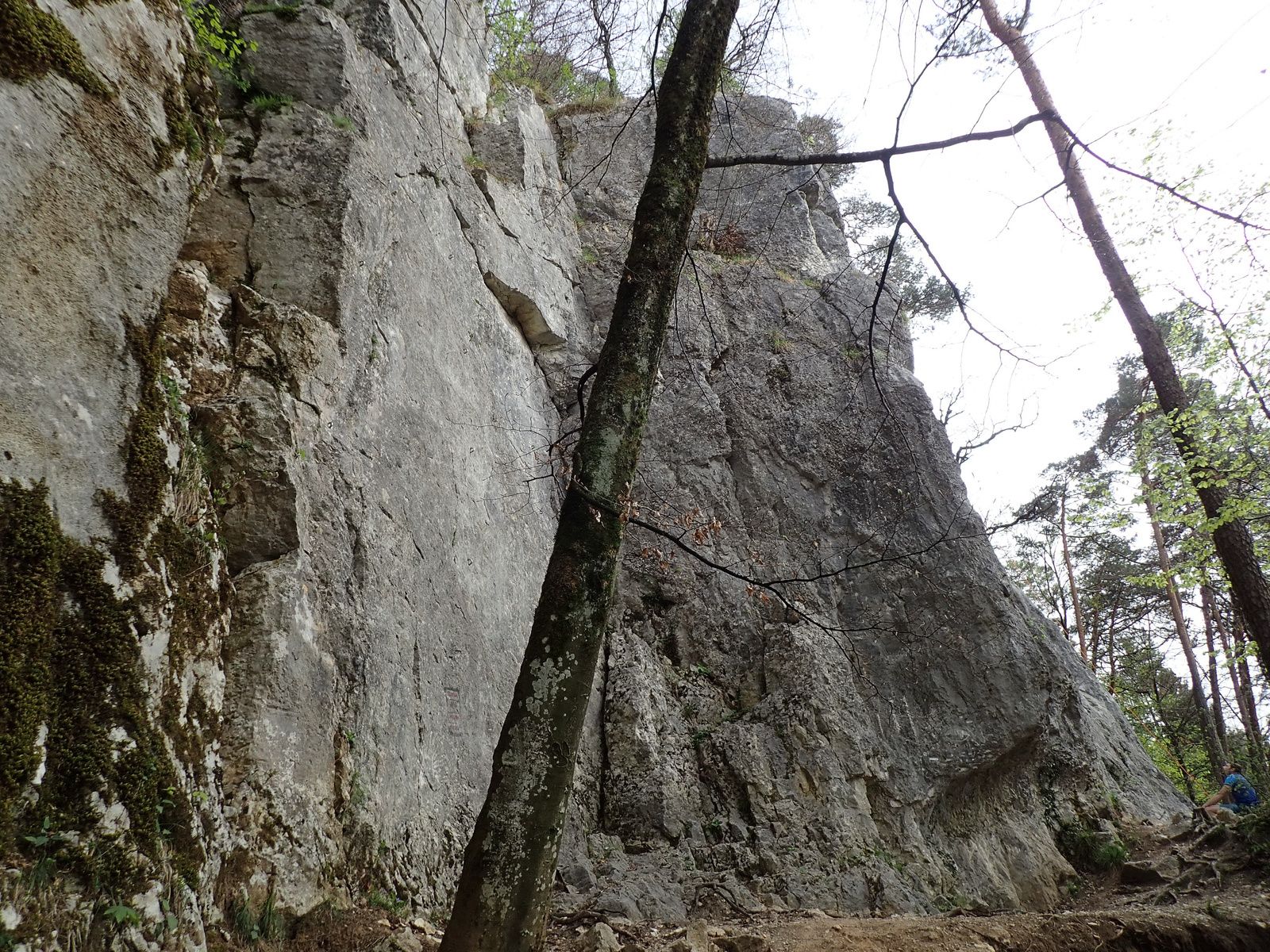 Falaise de la Grande Jeanne : Secteur des Sept Nains