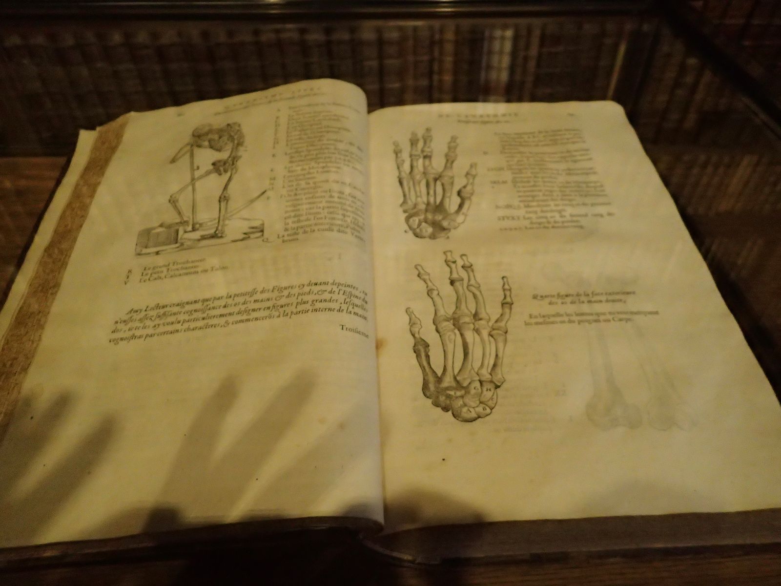 Médiévales du Château de Menthon St Bernard 2/2