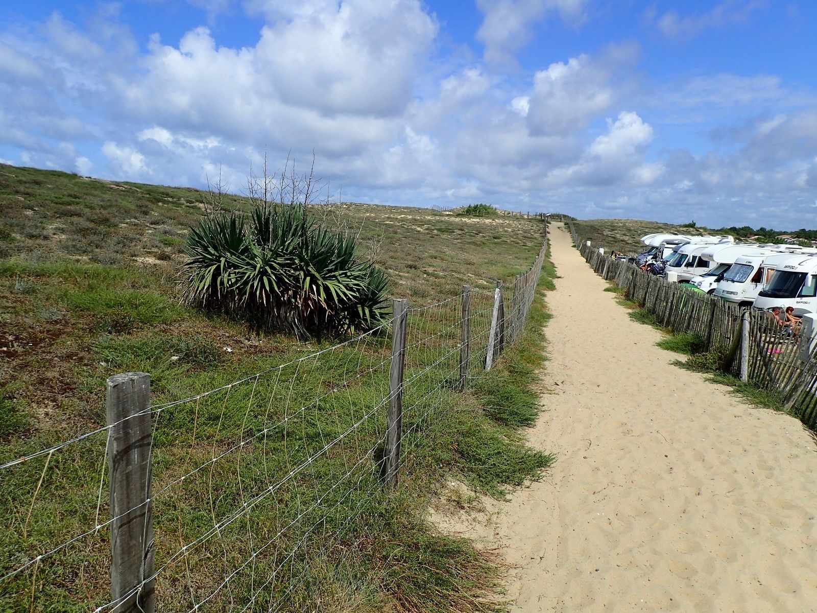 Capbreton : Sentier de la Dune