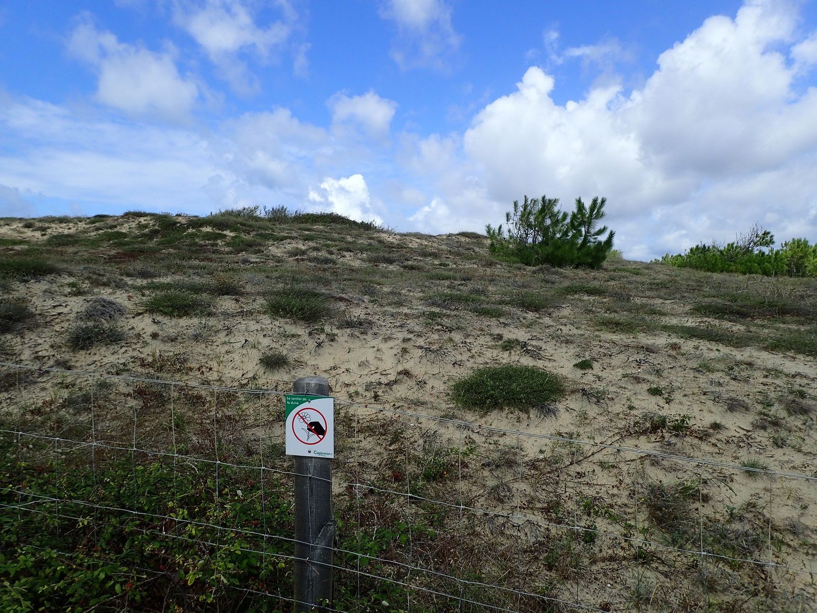 Capbreton : Sentier de la Dune