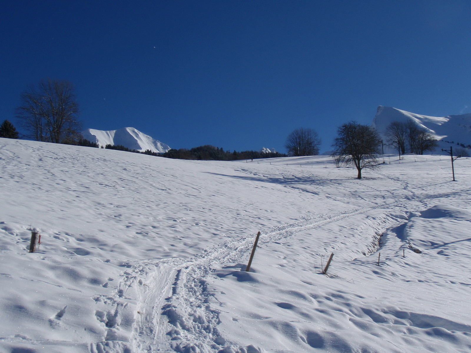 Col de la Tulle : Depuis la Savatte