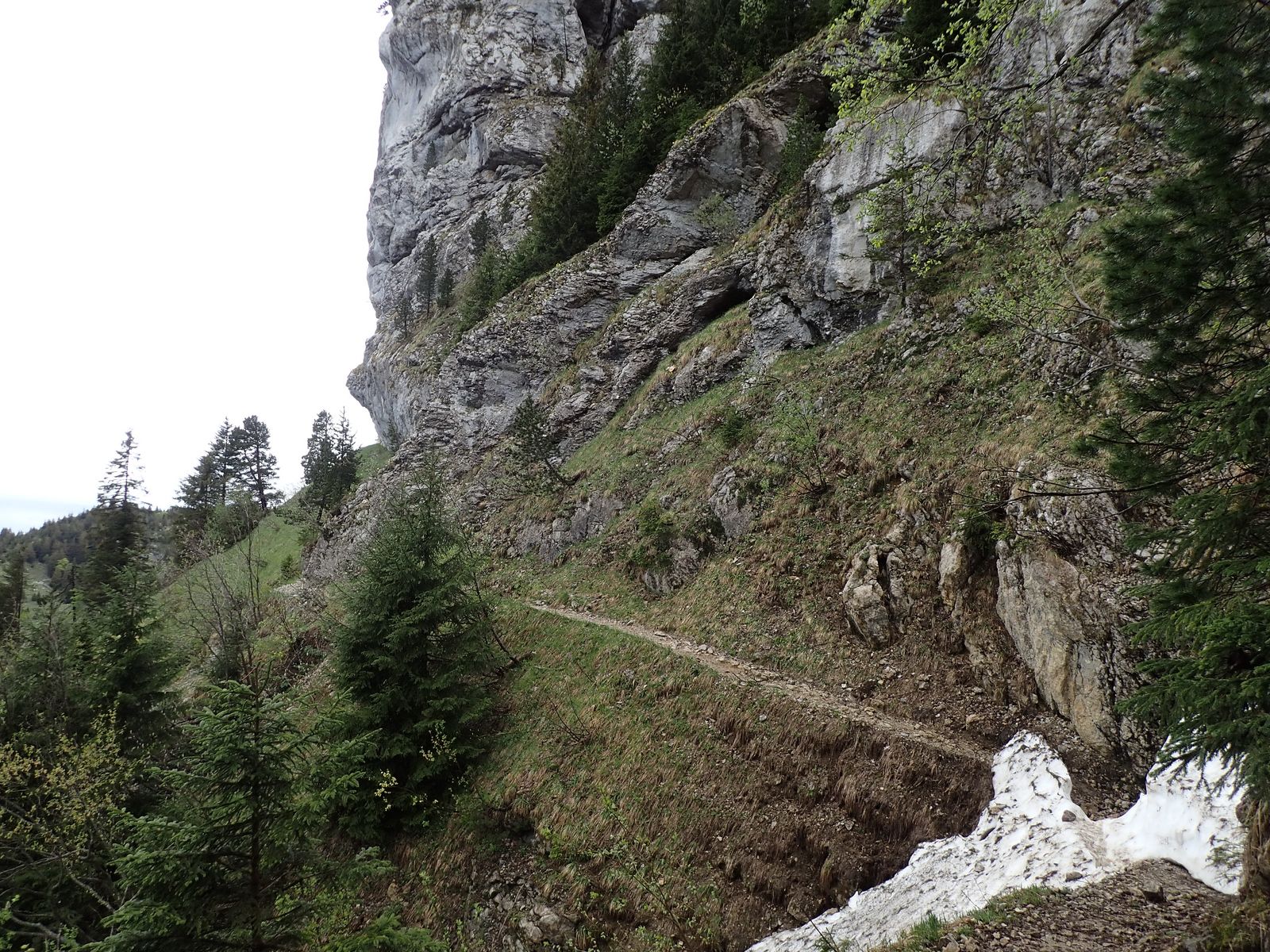 La Tête du Parmelan : Boucle Bois brûlé &gt; Plateau &gt; Grotte de l'Enfer 1/3