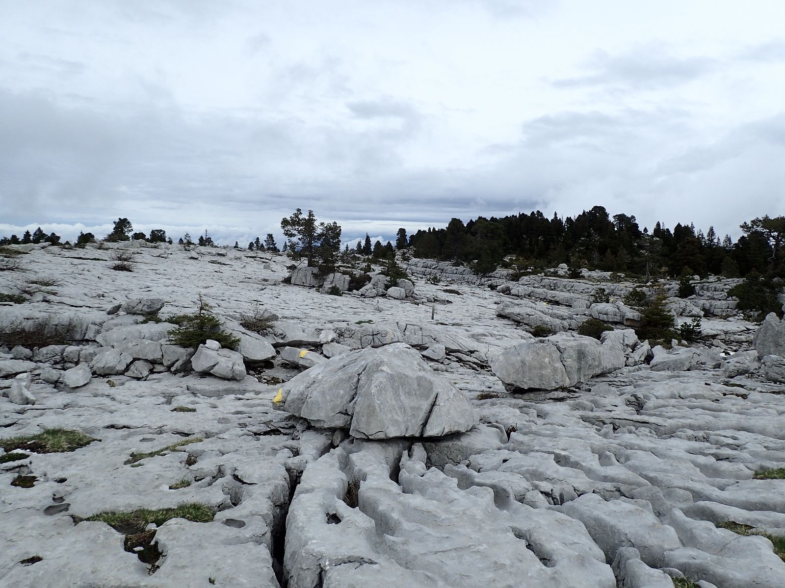 La Tête du Parmelan : Boucle Bois brûlé &gt; Plateau &gt; Grotte de l'Enfer 3/3