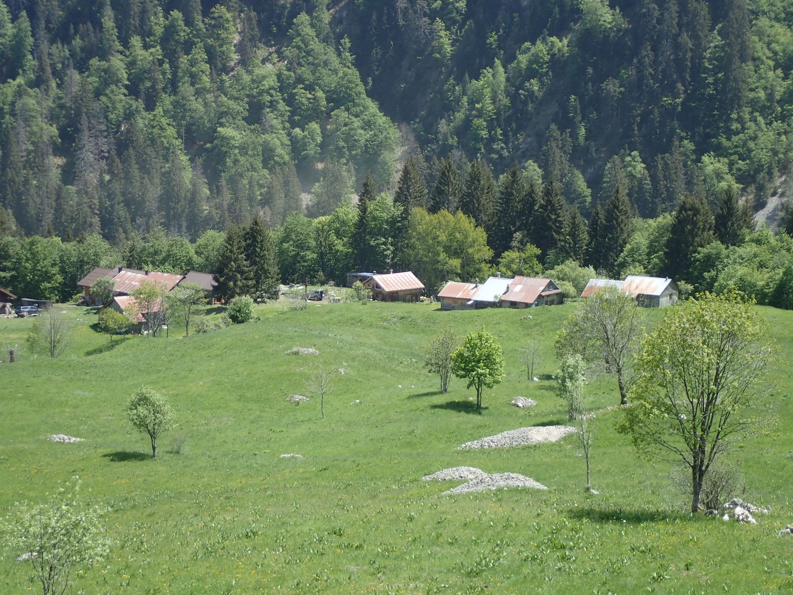 Rochers du Jotty (Mévone, Tête Blanche) + Mont Billiat : Depuis les Chalets de la Buchille 2/2