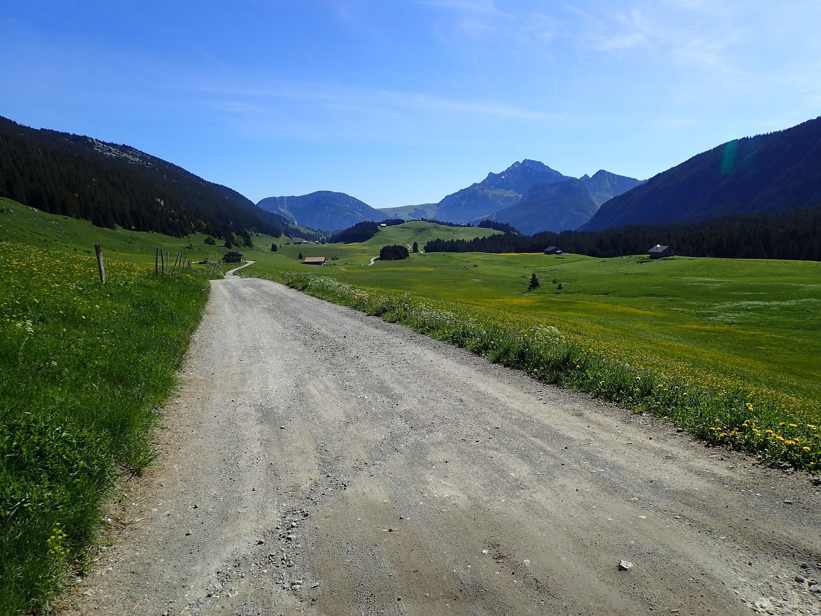 Montagne de Sous-Dine : Depuis le Col des Glières 1/2