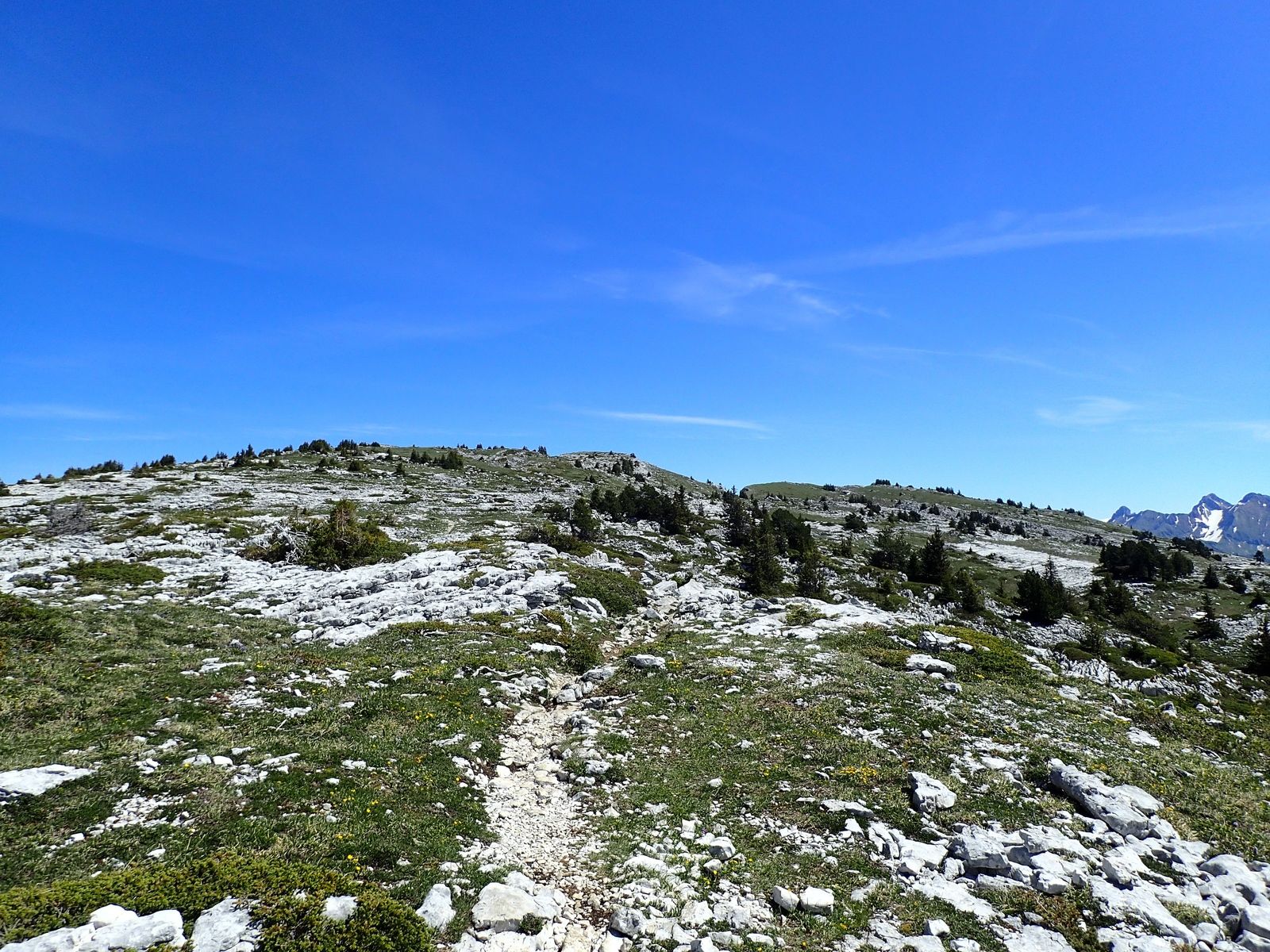 Montagne de Sous-Dine : Depuis le Col des Glières 2/2