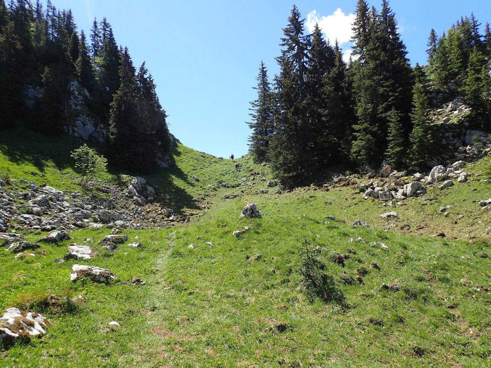 Pointe d'Ireuse : Depuis les Chalets de la Buchille 1/2
