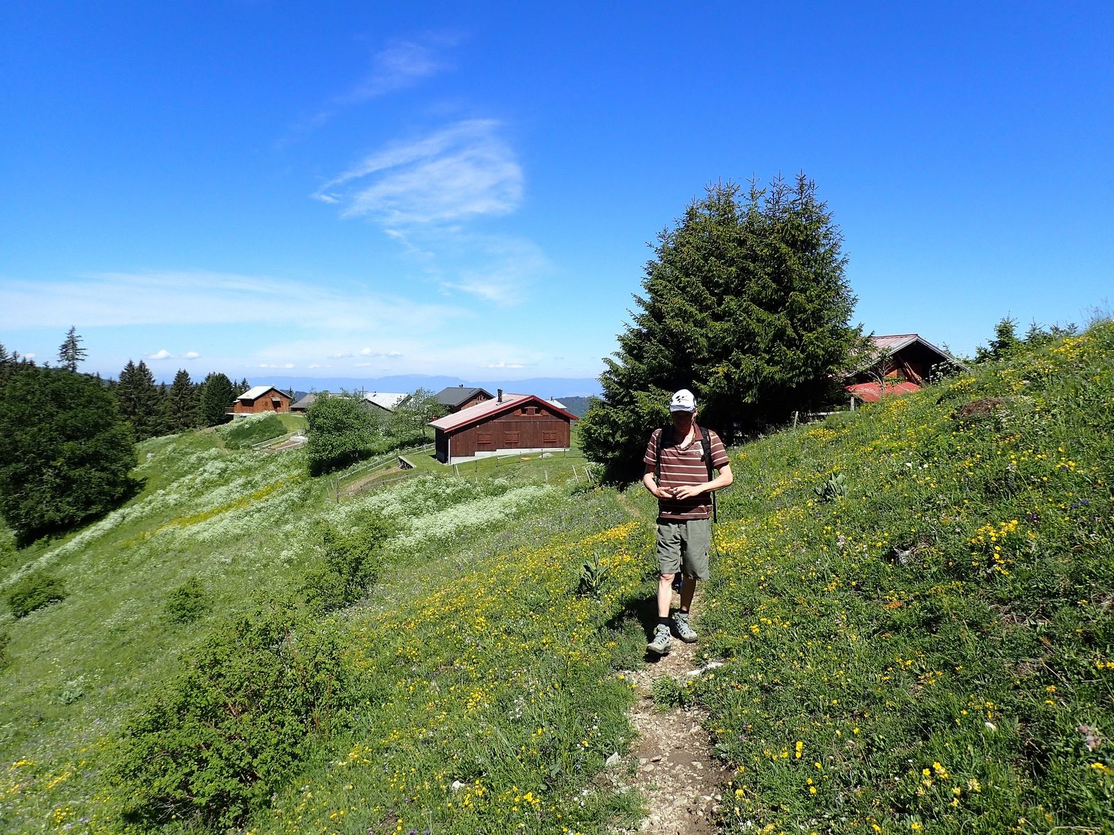 Pointe d'Ireuse : Depuis les Chalets de la Buchille 1/2