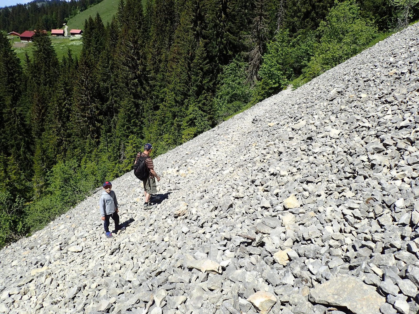 Pointe d'Ireuse : Depuis les Chalets de la Buchille 2/2