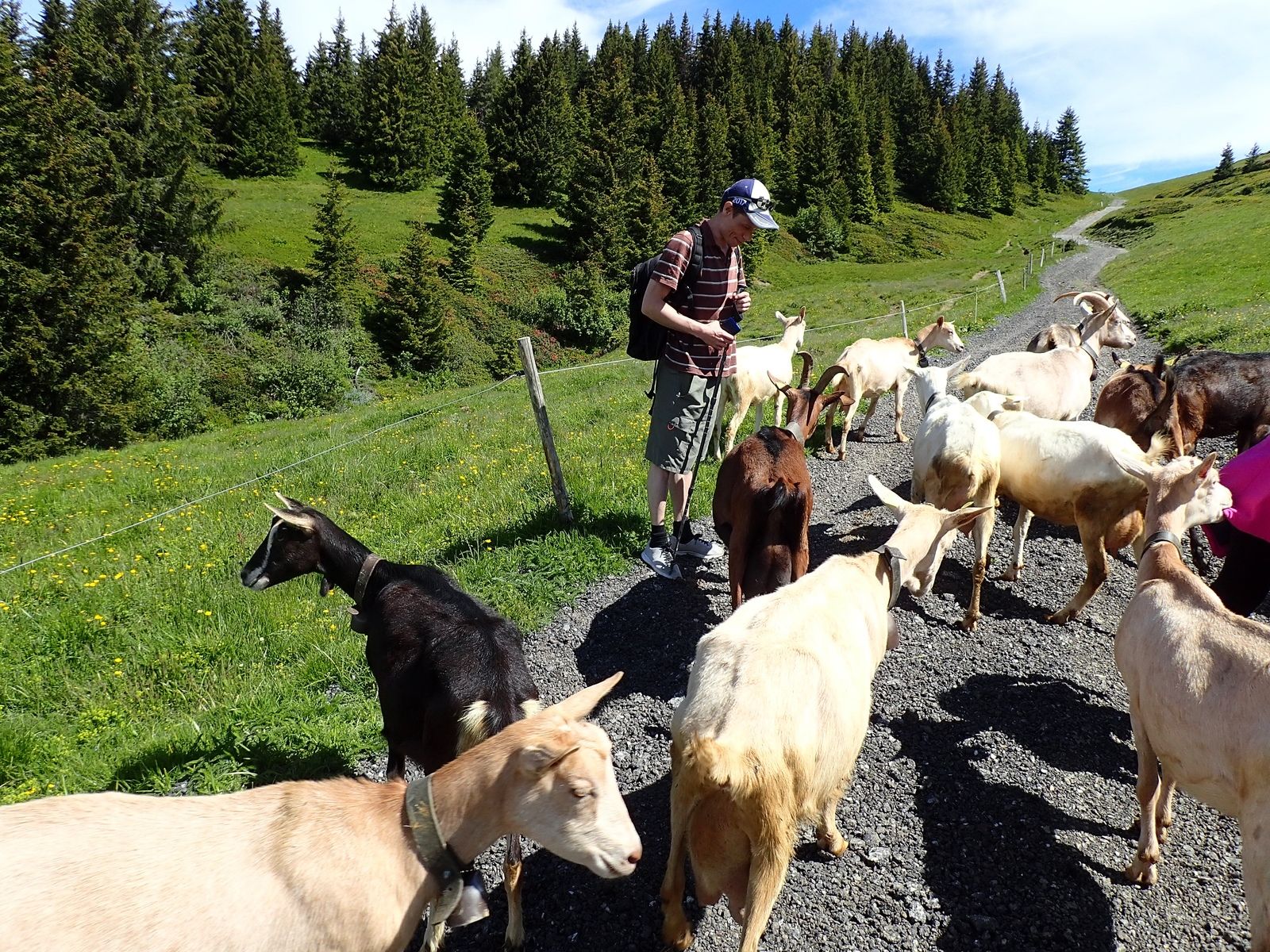 Mont de Vorès + Mont du Clocher : En boucle depuis Plan Désert 1/2