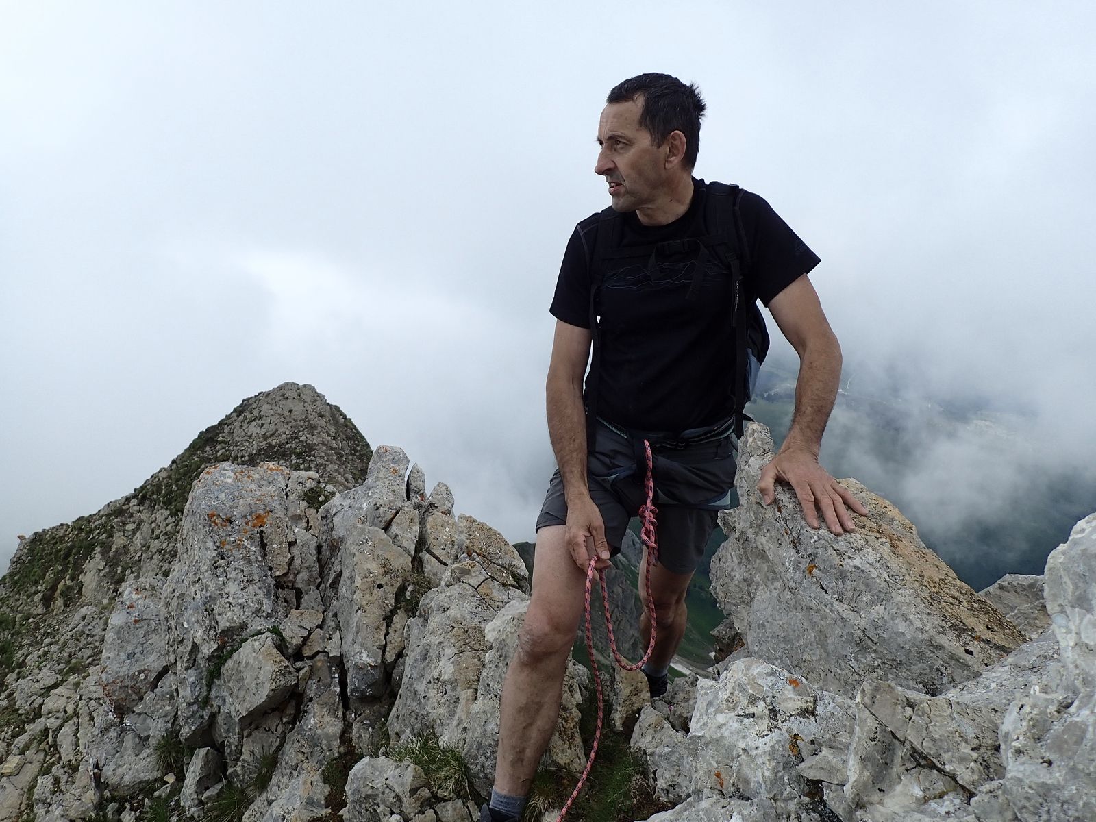 Pointe Blanche : Arête des Aiguilles Vertes 2/2