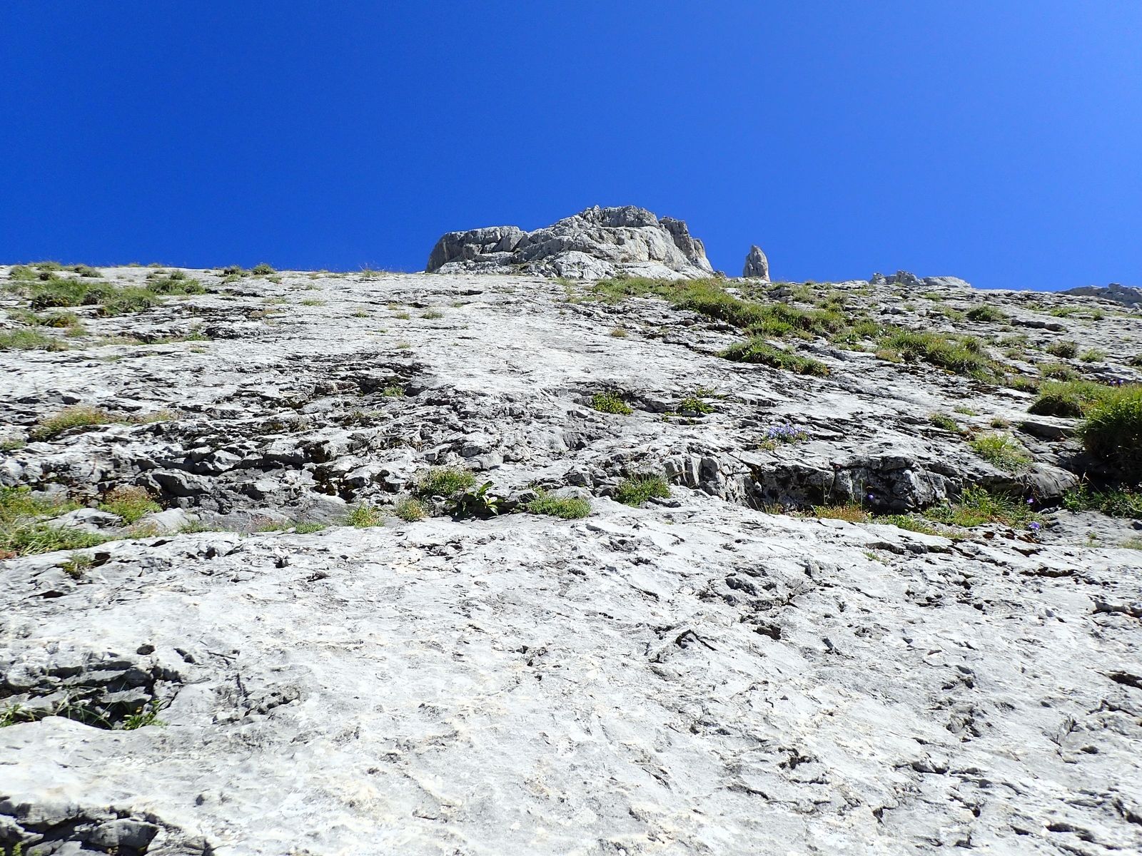 Pointe du Midi/ Pointe Dzérat : Les Demoiselles du Grand Bo