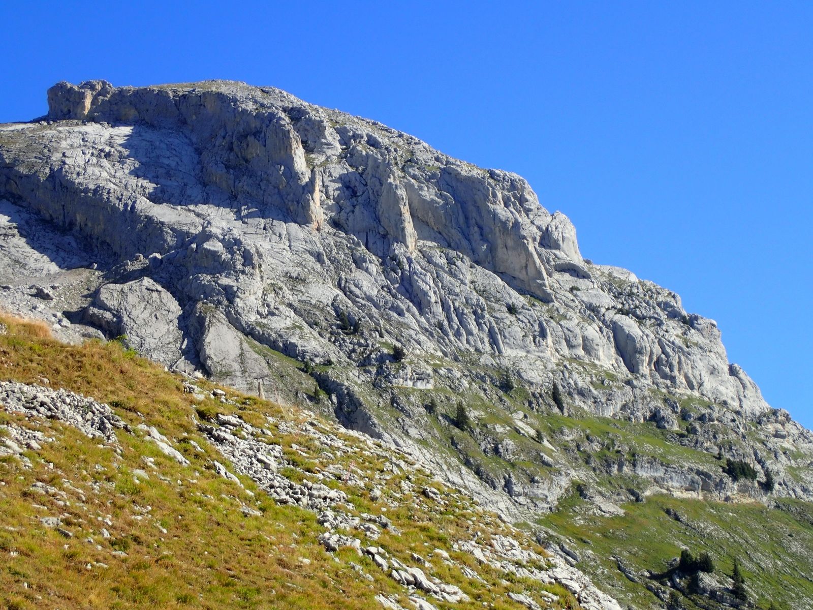 Pointe du Midi/ Pointe Dzérat : Les Demoiselles du Grand Bo
