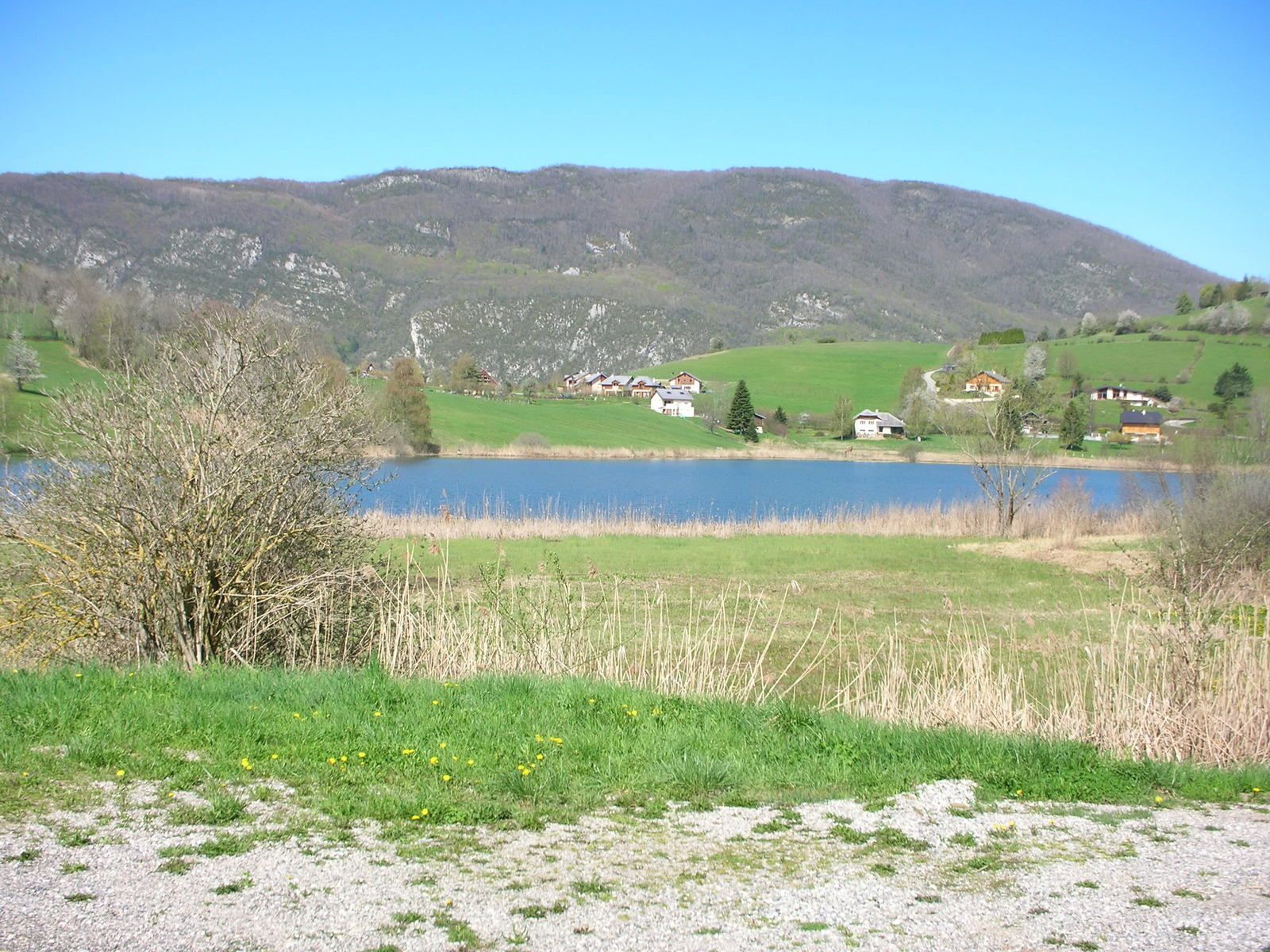 La Savoyarde : Faboyarde