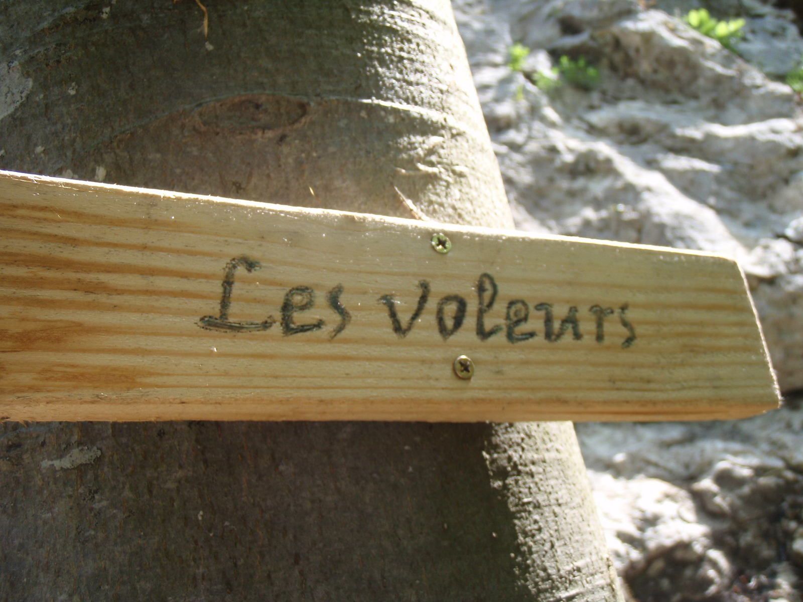 Falaise de St Catherine : Secteur les Voleurs