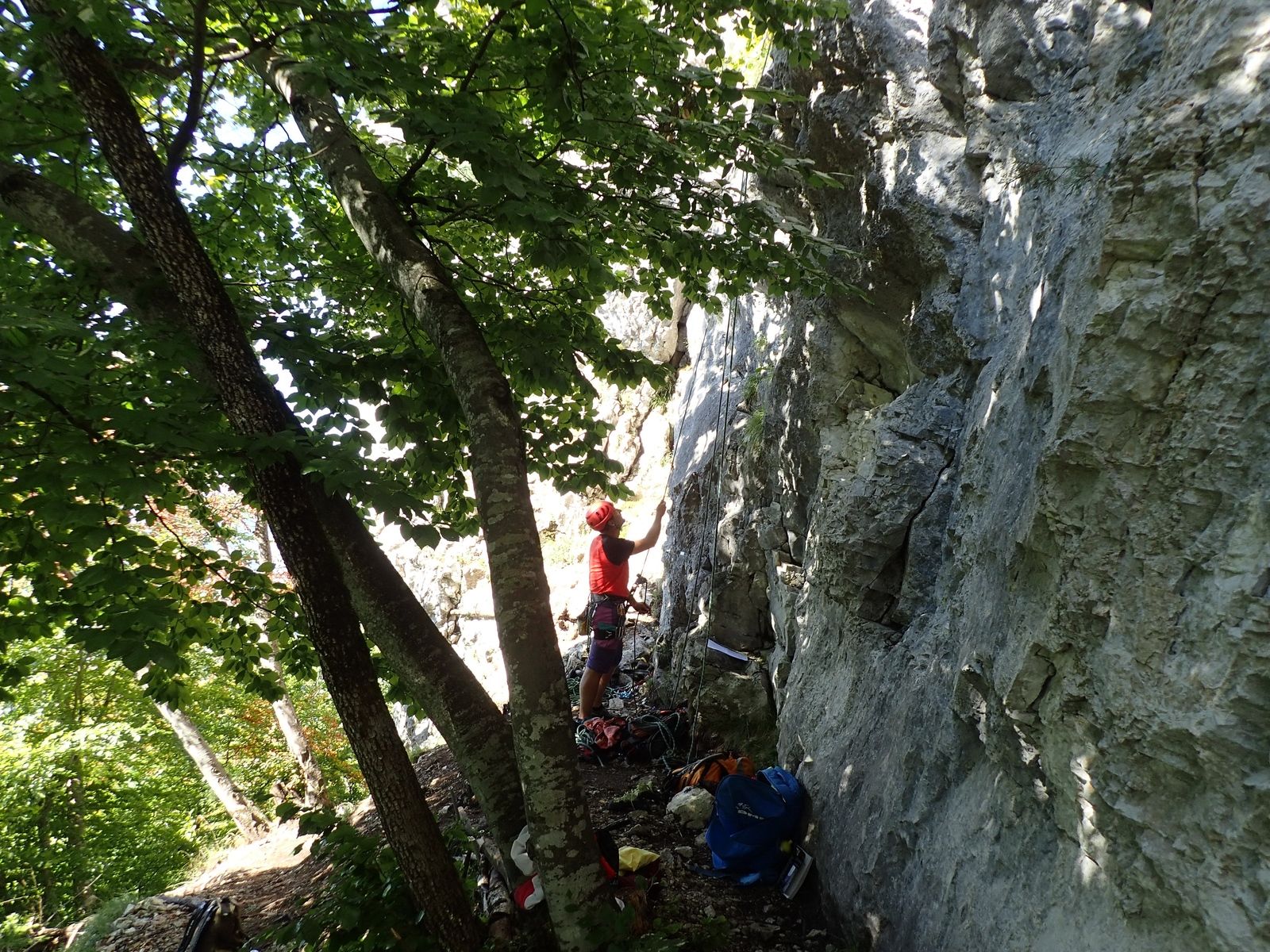 Falaise de St Catherine : Secteur les Voleurs