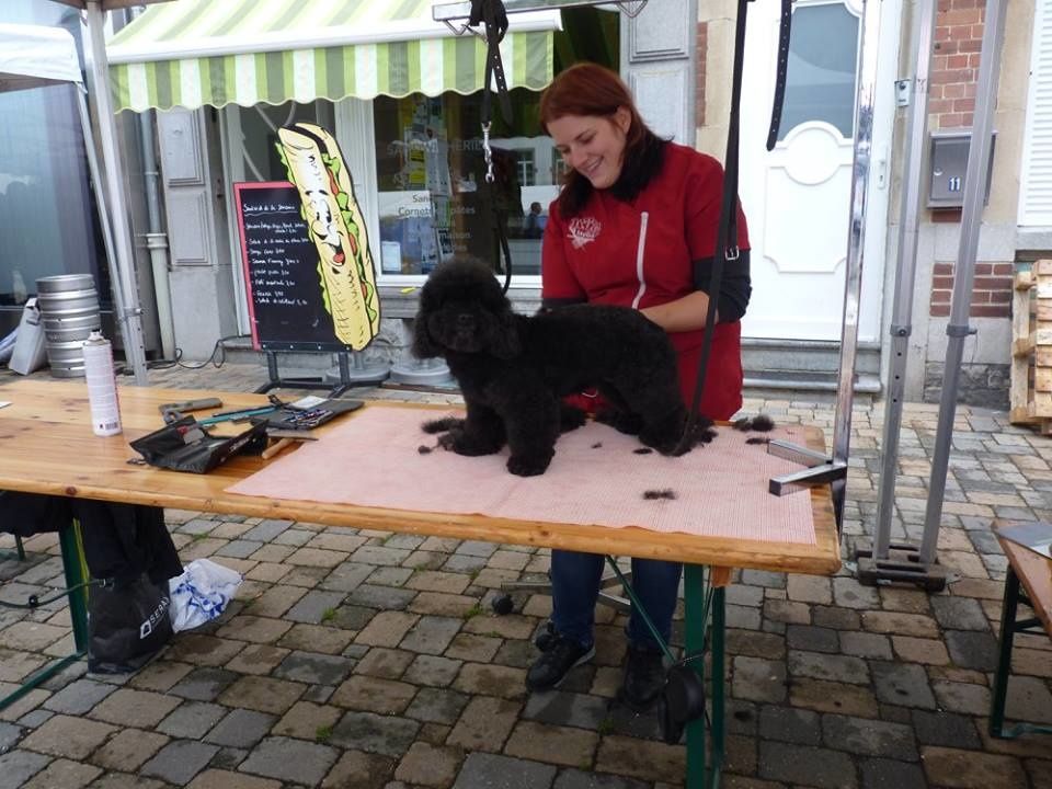 Photos:Micheline LOUIS