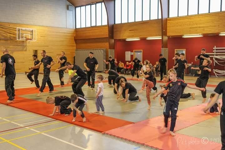 Ecole de gymnastique martiale