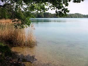 Plongée du 27 novembre