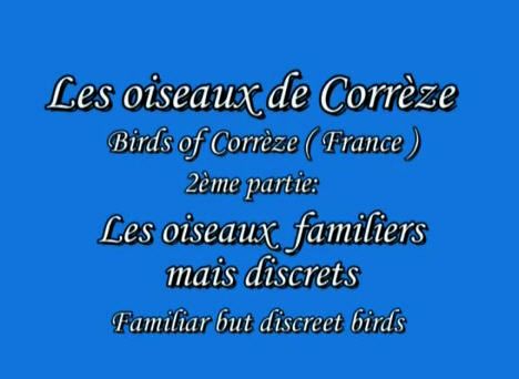 Les oiseaux de Corrèze #2