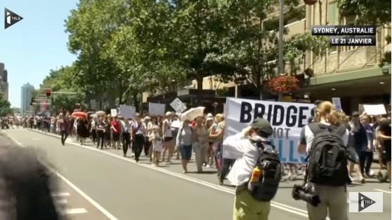 Manifs anti Trump