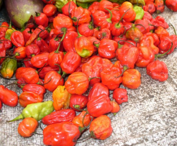 Piments rouges (Marché Central de Kinshasa). Photo Ressources du Congo
