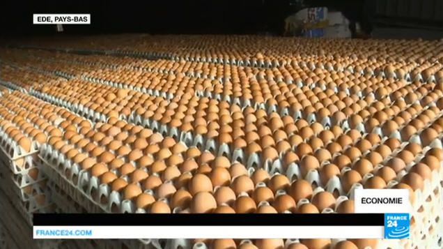 Scandale sanitaire : des millions d'œufs retirés de la vente en Europe