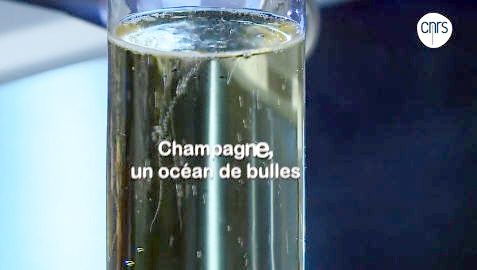 Champagne : L'odysée des bulles