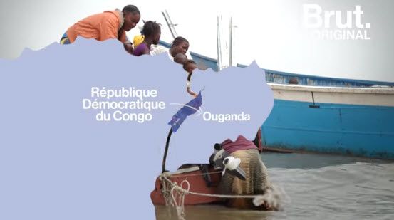 50 000 réfugiés ont fui les massacres en RDC