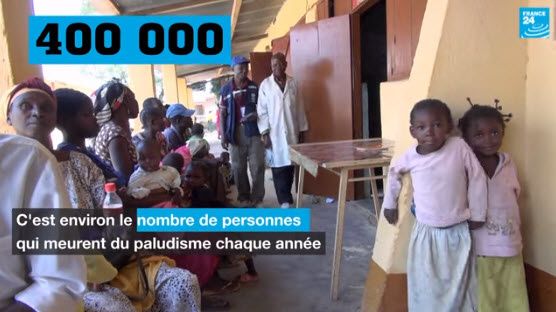 Paludisme : un enfant meurt toutes les deux minutes dans le monde