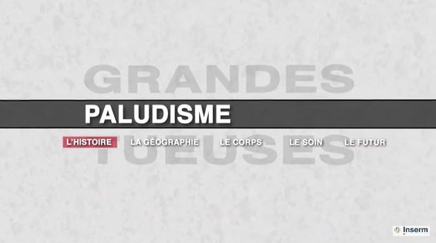 Grandes tueuses : Le paludisme
