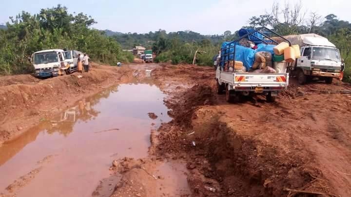 Quelque part en Ituri (RDC°