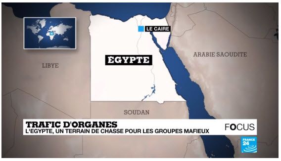 L'Égypte, terrain de chasse pour les trafiquants d'organes