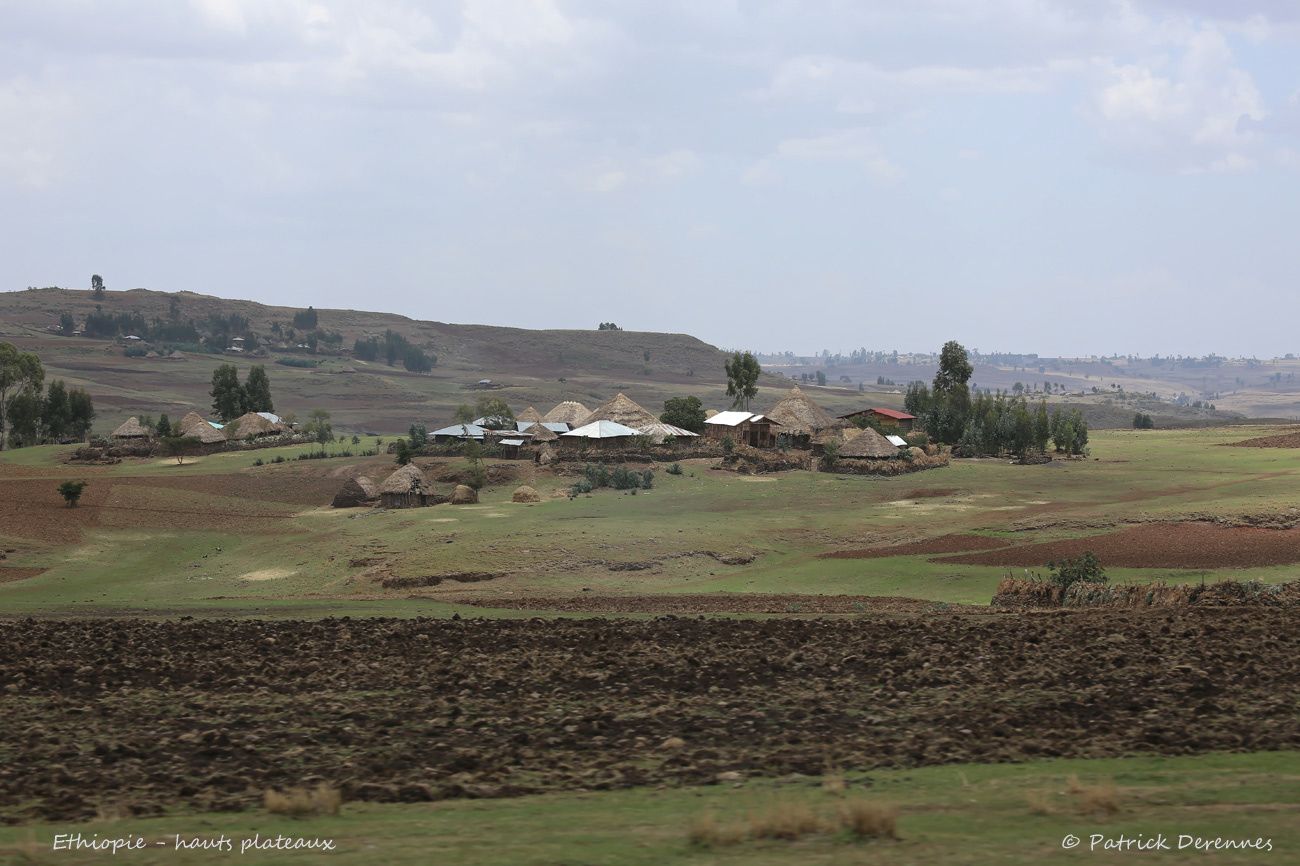 Hauts plateaux d'Ethiopie - habitats traditionnels