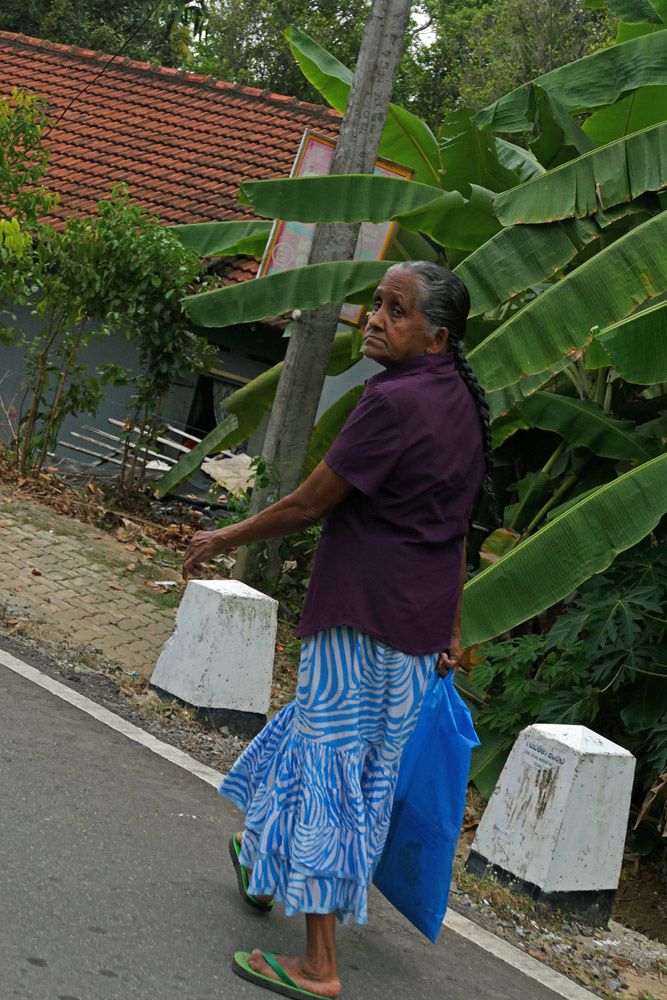 Vacances sri lankaises - road trip in tuk tuk 