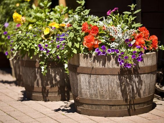 6 Pots de fleurs en objets recyclés