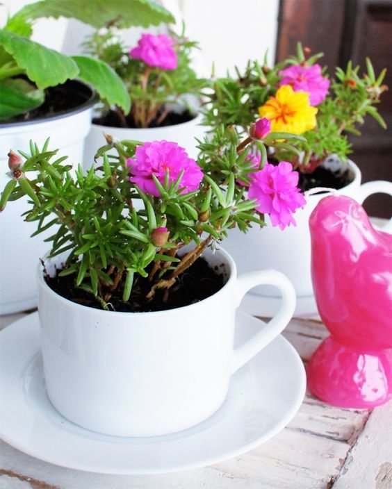 6 Pots de fleurs en objets recyclés