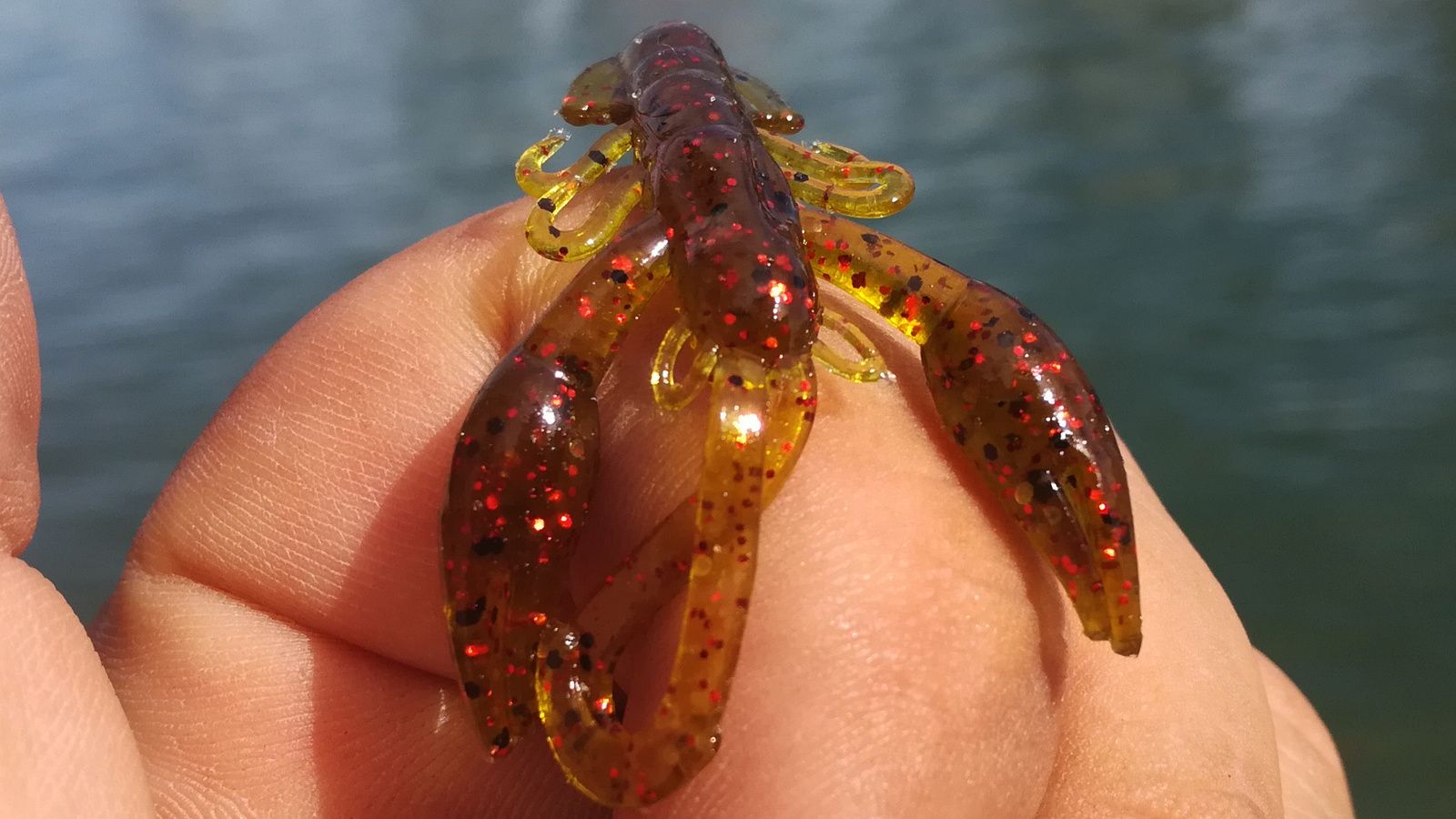 Pêche Leurres doux écrevisse Homard morue mer Jig Head sandre Drop Shot