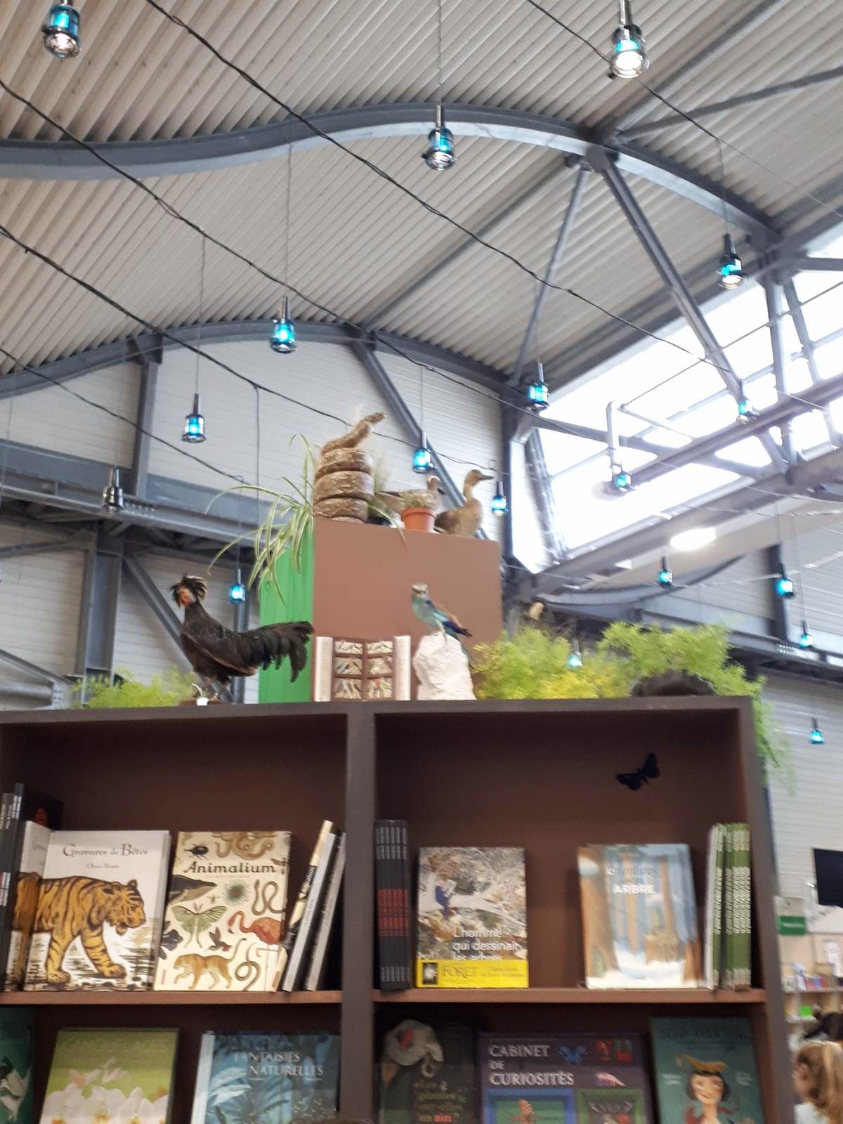 36ème fête du livre de jeunesse